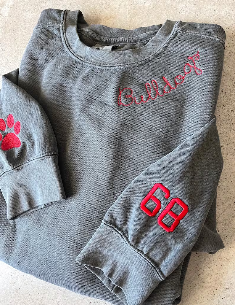 High school Mascot Embroidered Sweatshirt T_M94